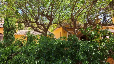Rustic Chalet in Alhama de Murcia photo 8