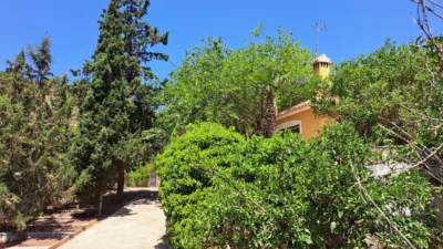 Rustic Chalet in Alhama de Murcia photo 19