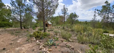 Detached house in Totana photo 50