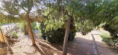 Single-family chalet in Mortí Yechar photo 26