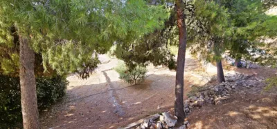 Single-family chalet in Mortí Yechar photo 25