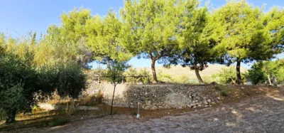 Single-family chalet in Mortí Yechar photo 41