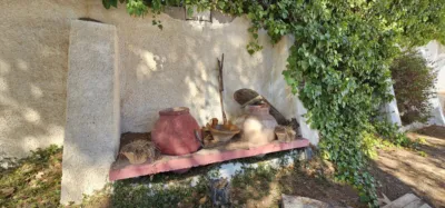  photo 42