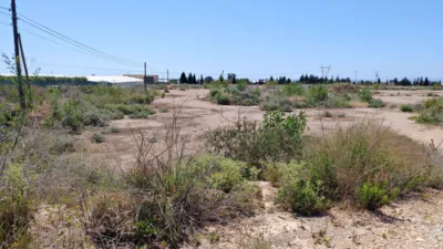 Terreno en venta en Calle Carretera Lo Romero - Vista 5