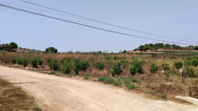 Terreno en venta en Pasaje los Llanos - Vista 3