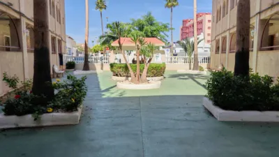 Apartment in Mil Palmeras Urbanization photo 5