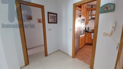 House on Calle de la Alameda photo 5