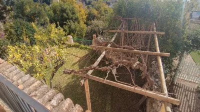 Rustic House on Calle Centro del Pueblo photo 21