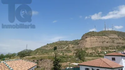 House in Camino Viejo del Fargue photo 22