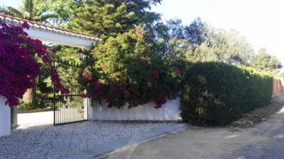 House on Calle de Alcalá photo 20