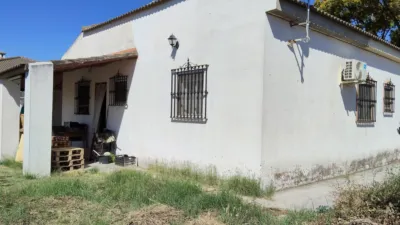 Single-family chalet in Urbanización Mata de Las Naranjillas photo 3