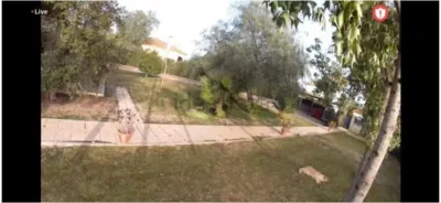 Detached House in Diseminado El Regidor photo 8