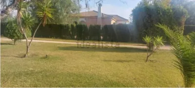 Detached House in Diseminado El Regidor photo 3