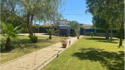 Detached House in Diseminado El Regidor photo 7