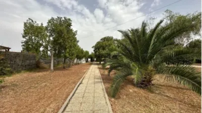 Detached House in Diseminado El Regidor photo 25