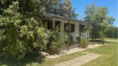 Detached House in Diseminado El Regidor photo 6