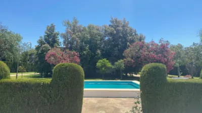 Detached House in Diseminado El Regidor photo 19