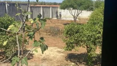 Detached House in Diseminado El Regidor photo 10