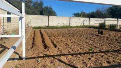 Detached House in Diseminado El Regidor photo 28