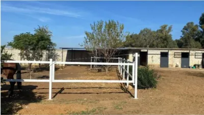 Detached House in Diseminado El Regidor photo 24