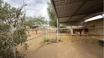 Detached House in Diseminado El Regidor photo 12