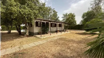 Detached House in Diseminado El Regidor photo 13