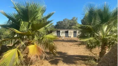 Detached House in Diseminado El Regidor photo 11