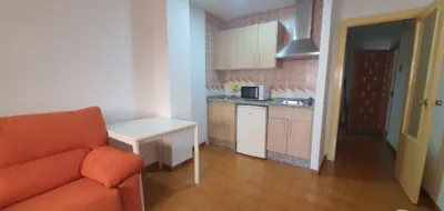 Estudio en alquiler en Calle de Pedro Antonio de Alarcón, cerca de Camino de Ronda, Camino de Ronda (Distrito Ronda. Granada Capital) de 470 €<span>/mes</span>