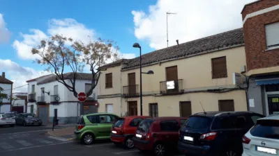 Miniatura 8