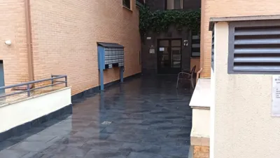 Miniatura 12