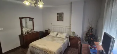 Miniatura 11