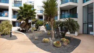 Apartment on Gran Canaria Street photo 21