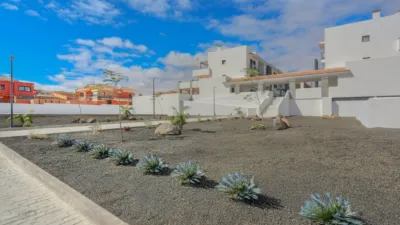 Apartment on Calle Alcaudon photo 45
