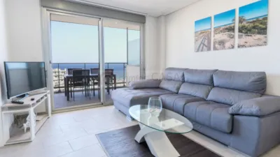 Pis – Elx - Elche - Vista 4