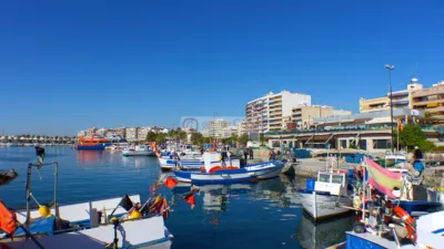 Pis – Santa Pola, el Baix Vinalopó - Vista 4