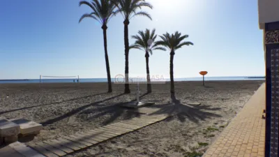 Pis – Santa Pola, el Baix Vinalopó - Vista 3