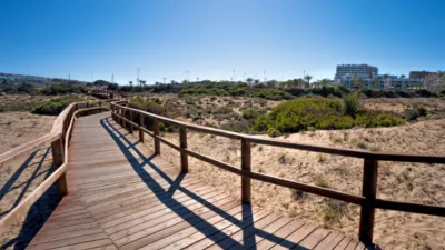 Apartment in Gran Alacant photo 23