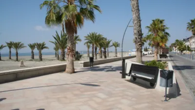 Apartment in Centre-Port-Platja Llevant photo 15