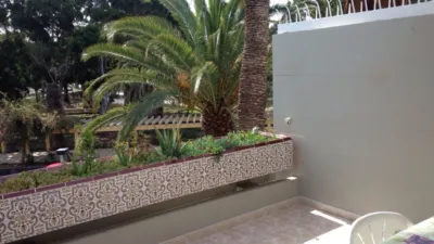 Apartamento en alquiler en Calle Ten-bel, Costa del Silencio-Las Galletas (Arona) de 1.000 €<span>/mes</span>