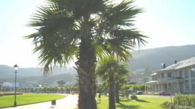 Piso en venta en Rúa Cantalarrana, Cariño de 92.000 €