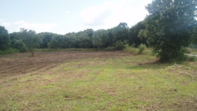 Land for sale in Prado Vello, Cambados of 100.000 €