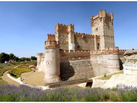 Castillo de la Mota, Medina del Campo. Castillo de la Mota, Medina del Campo.