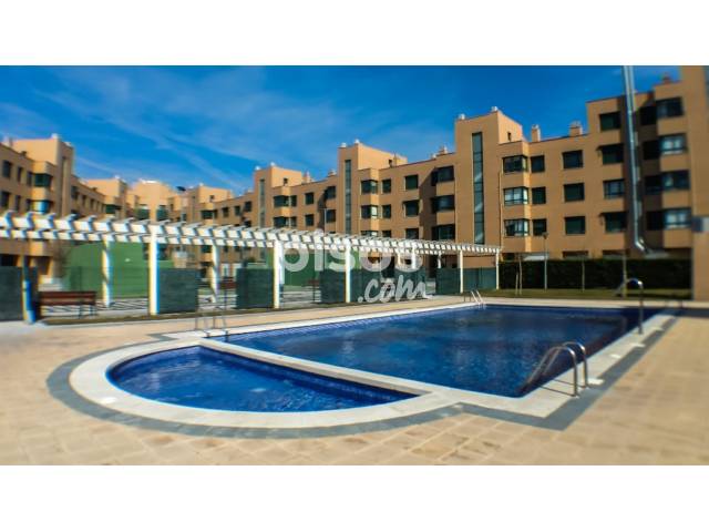 alquiler pisos en valladolid particulares alquiler de pisos de particulares en la provincia de alquiler pisos en valladolid particulares alquiler de pisos de particulares en la provincia de