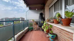 Piso en Pinar del Rey