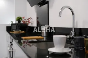 Estudio en Alfara del Pariarca