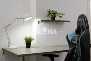 Estudio en Alfara del Pariarca