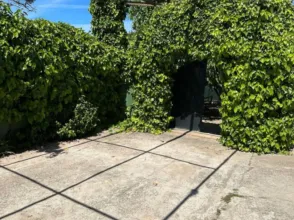 Finca rústica en calle de la Perdiz