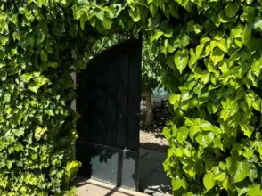 Finca rústica en calle de la Perdiz
