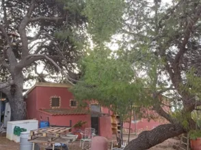 Finca rústica en Totana