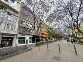 Piso en Avenida de la Asunción